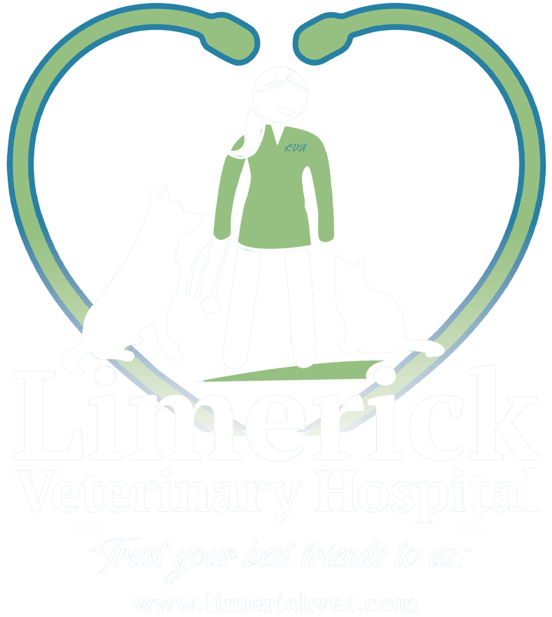 limerick logo