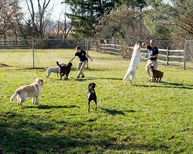 happy tails activity center