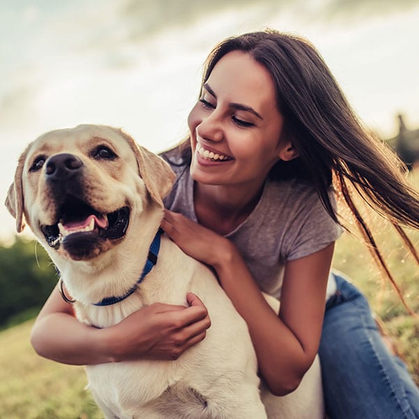 Summer Pet Safety Tips in Limerick, PA