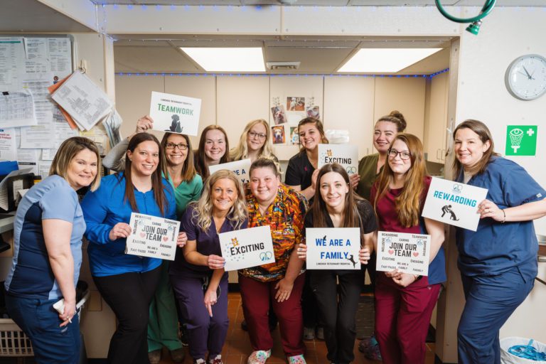 Veterinary Careers in Limerick, PA Limerick Veterinary Hospital