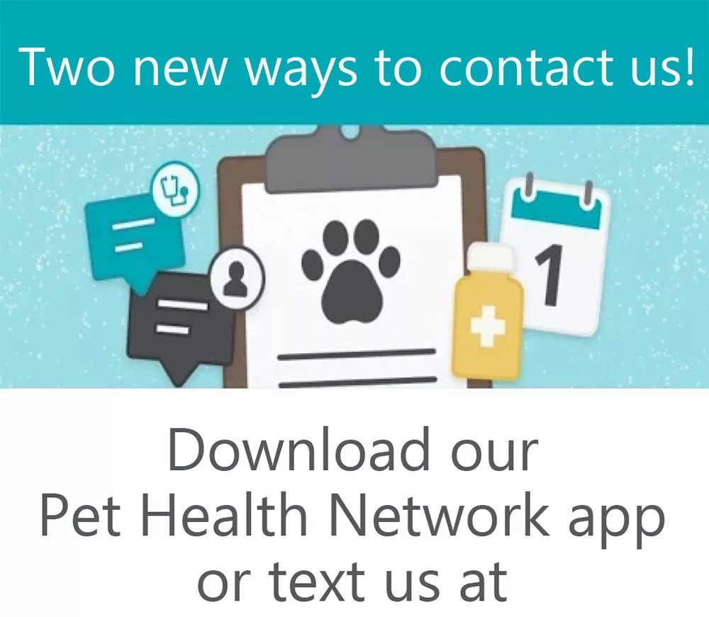 Limerick-Pet-Health-Network-Pro-Web-Banner