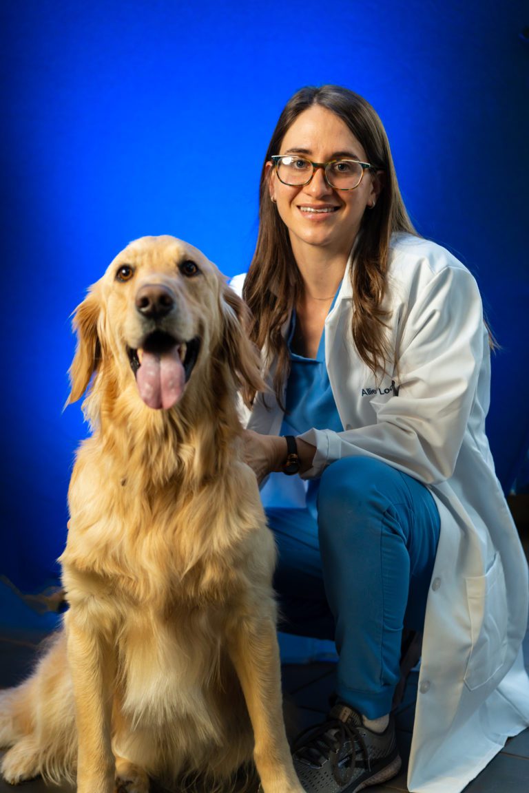 Our Veterinary Team in Limerick, PA Limerick Veterinary Hospital