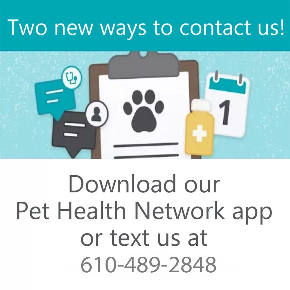 Limerick-Pet-Health-Network-Pro-Banner