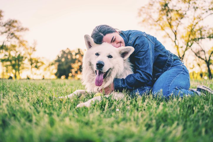 dog vaccinations in limerick, pa