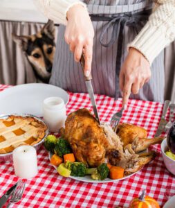 dog-watching-owner-carve-turkey